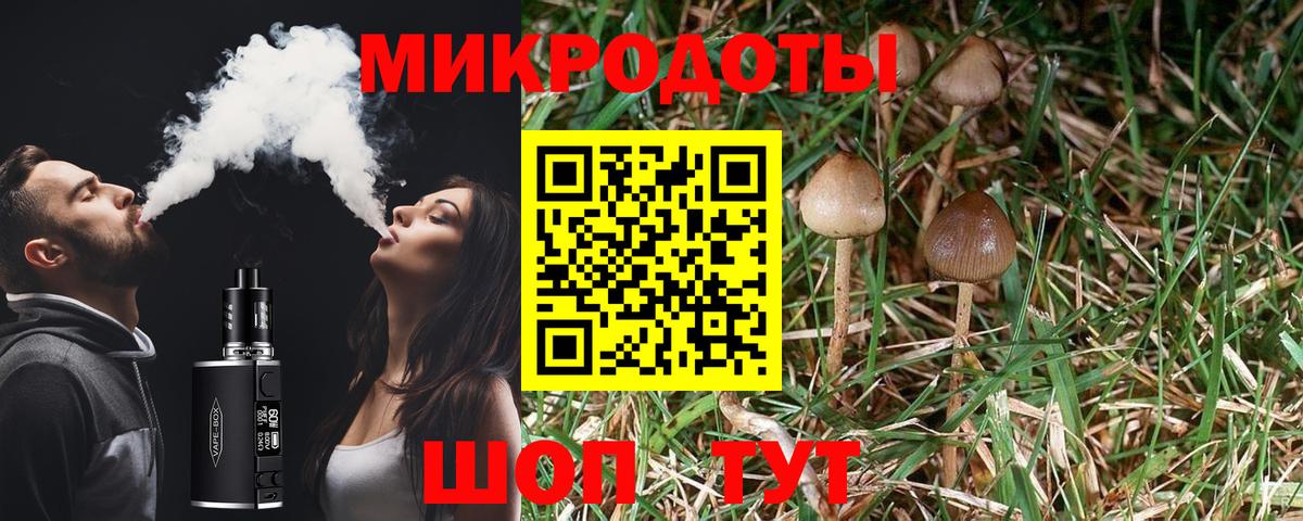 купить   Вход с VPN  Кохма  Псилоцибиновые грибы Psilocybine cubensis  Псилоцибиновые грибы MAGIC MUSHROOMS 