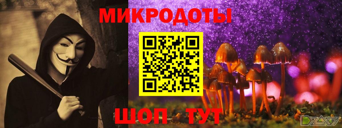 Галлюциногенные грибы Psilocybe Кохма